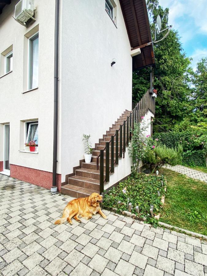 Hotel Guesthouse Stari Jasen Velika Mlaka Εξωτερικό φωτογραφία