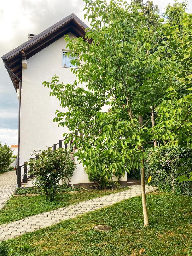 Hotel Guesthouse Stari Jasen Velika Mlaka Εξωτερικό φωτογραφία
